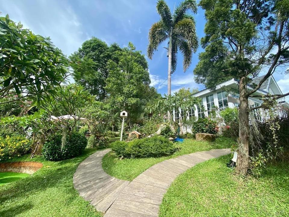 Baan Jaokorkluay บ้านเจ้ากอกล้วย Chiang Rai Ngoại thất bức ảnh