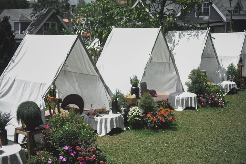 Baan Jaokorkluay บ้านเจ้ากอกล้วย Chiang Rai Ngoại thất bức ảnh