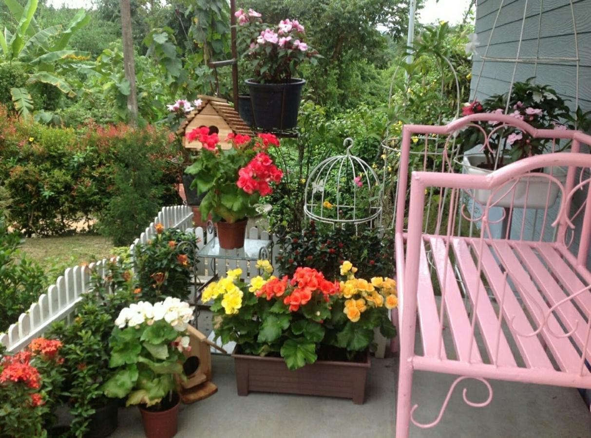 Baan Jaokorkluay บ้านเจ้ากอกล้วย Chiang Rai Ngoại thất bức ảnh