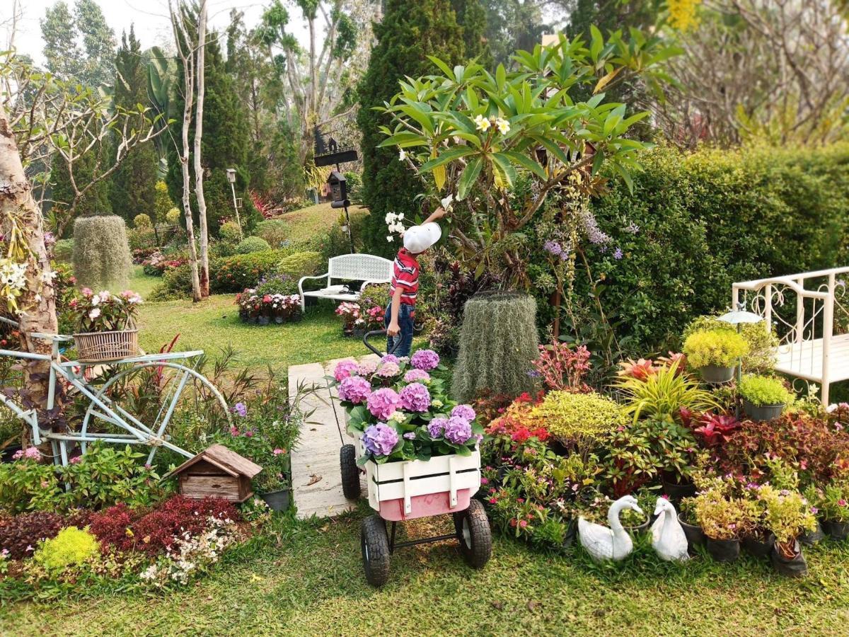 Baan Jaokorkluay บ้านเจ้ากอกล้วย Chiang Rai Ngoại thất bức ảnh